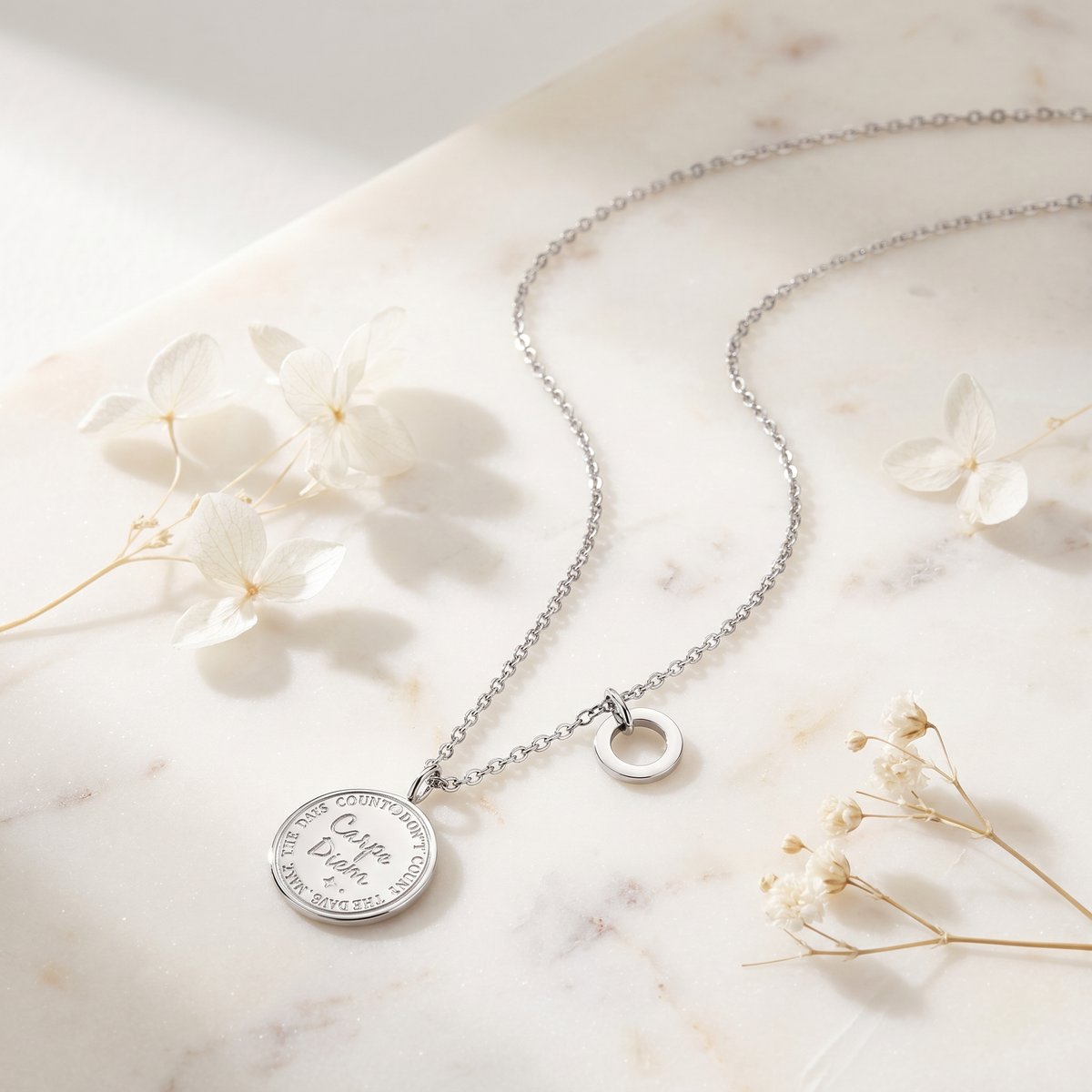 Necklace Stainless Steel Silver Greeting Card Carpe Diem
