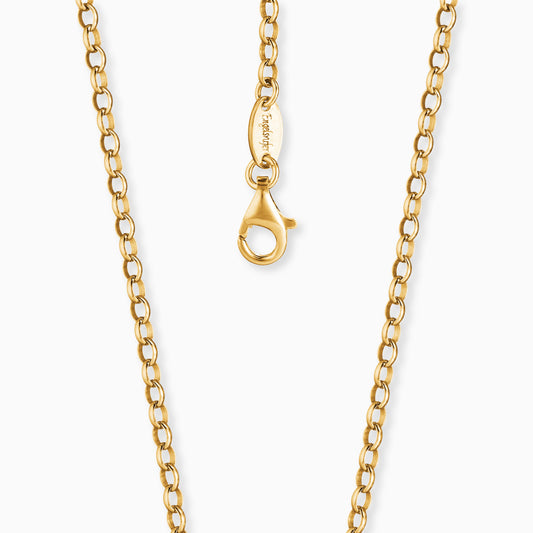 Anchor chain 925 silver gold